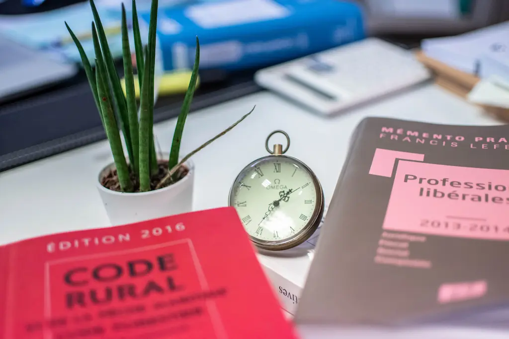 Deux livres, une plante et une montre posés sur une table